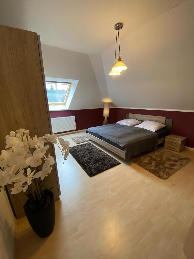 Ferienwohnung Oelzschau - Urlaub Im Leipziger Neuseenland Rötha 外观 照片