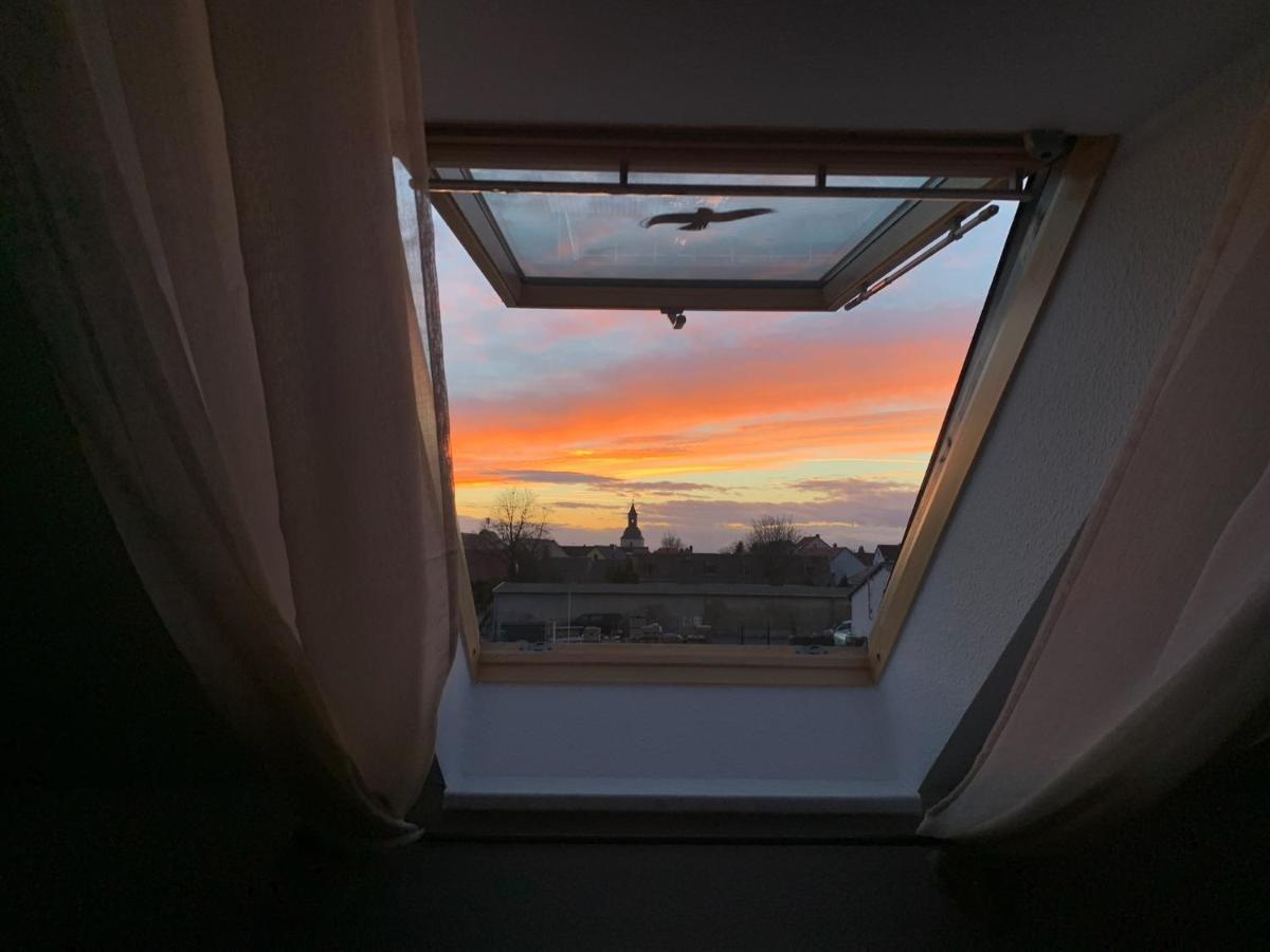 Ferienwohnung Oelzschau - Urlaub Im Leipziger Neuseenland Rötha 外观 照片